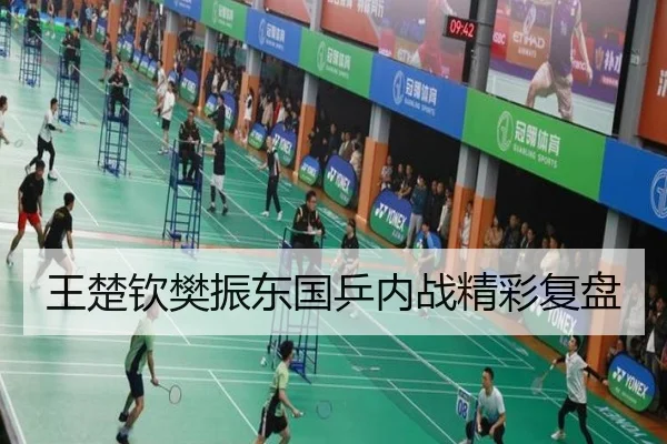 王楚钦樊振东国乒内战精彩复盘